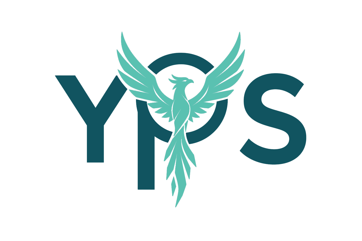 YPS logo
